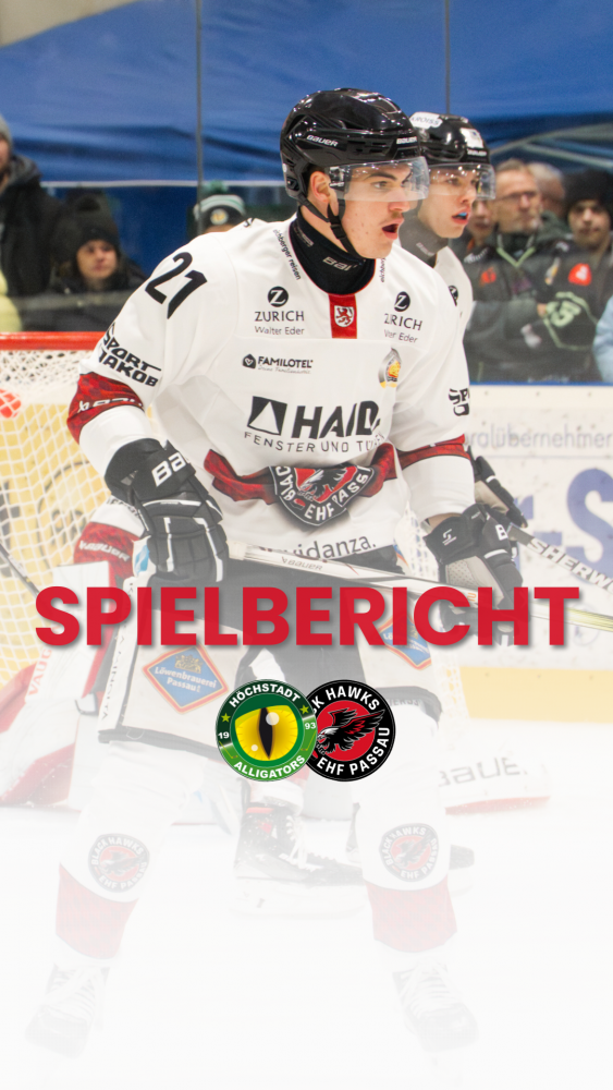 Spielbericht Hoechstadt Story 